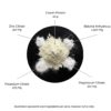 AM:PM – Weight Loss - Image 2